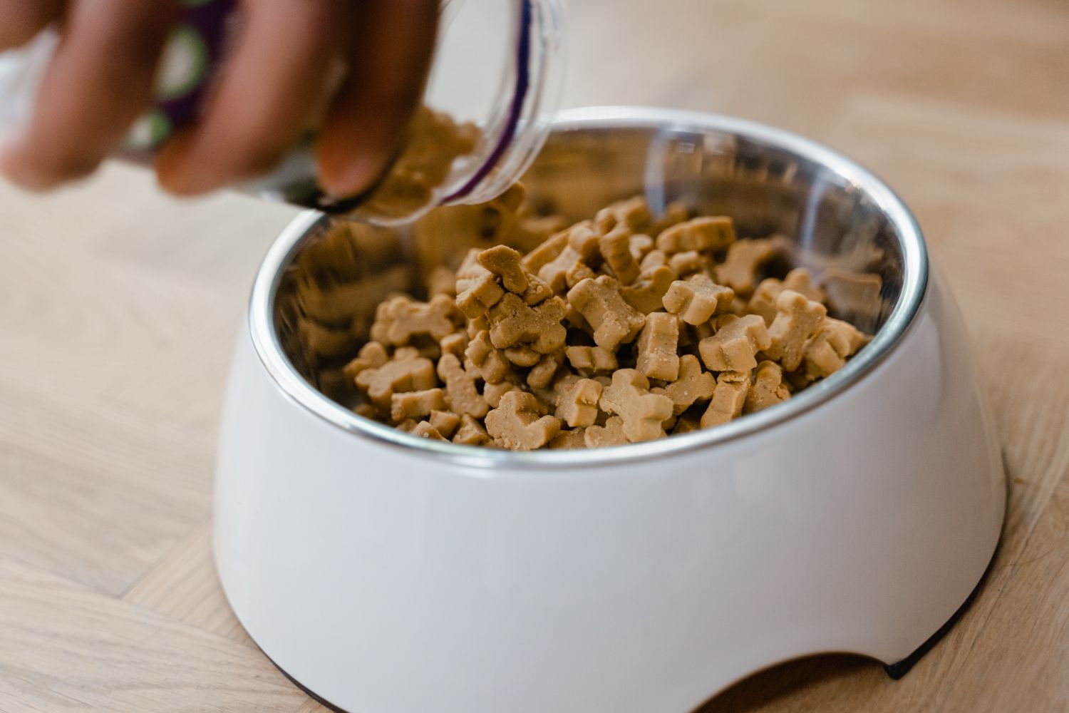 Fresh premium dog food being poured into a bowl