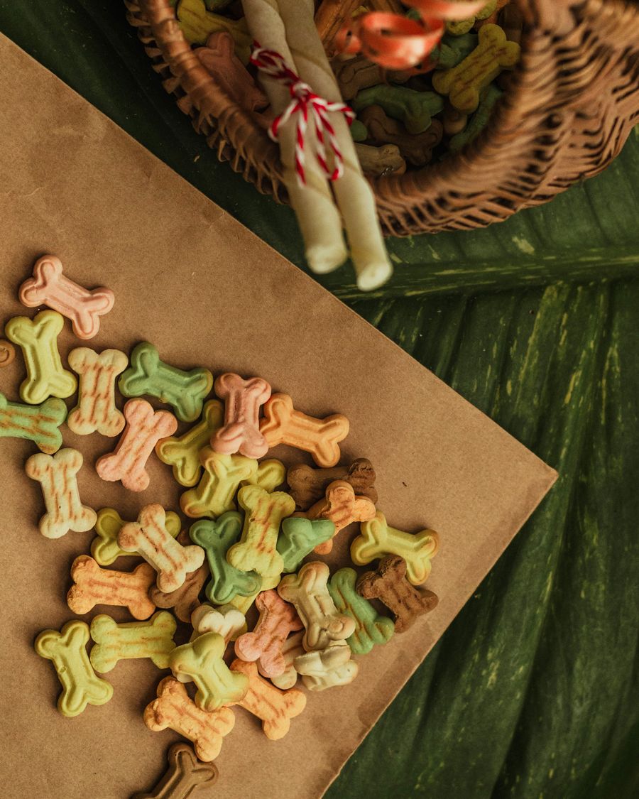 Assorted natural dog dental chews and bones